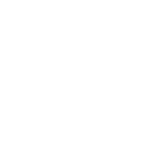 شركة التقنية الناشئة